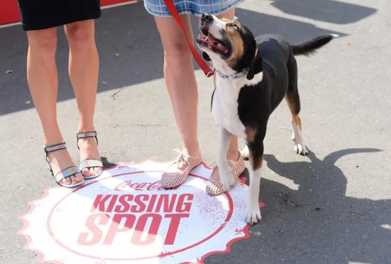 Na vidikovcu ispred kule Lotrščak otvoreno Mjesto za poljubac