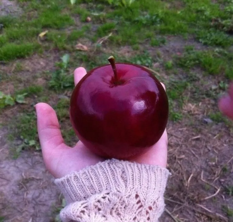 Simetrija, slučajnost ili nešto posve neobjašnjivo čine ove prizore nevjerojatno ugodnima oku.