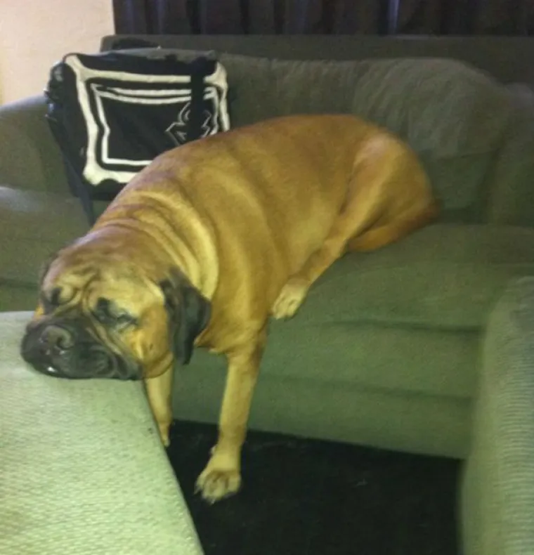 IL' JE VRUĆINA IL' JE UMOR: Oni stvarno, ali stvarno vi&scaron;e nisu mogli izdržati, morali su se 'skljokati'