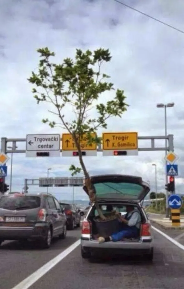 Kada bi se dodjeljivale nagrade za najgluplje podvige, ovo bi zasigurno bili neki od nominiranih kandidata.