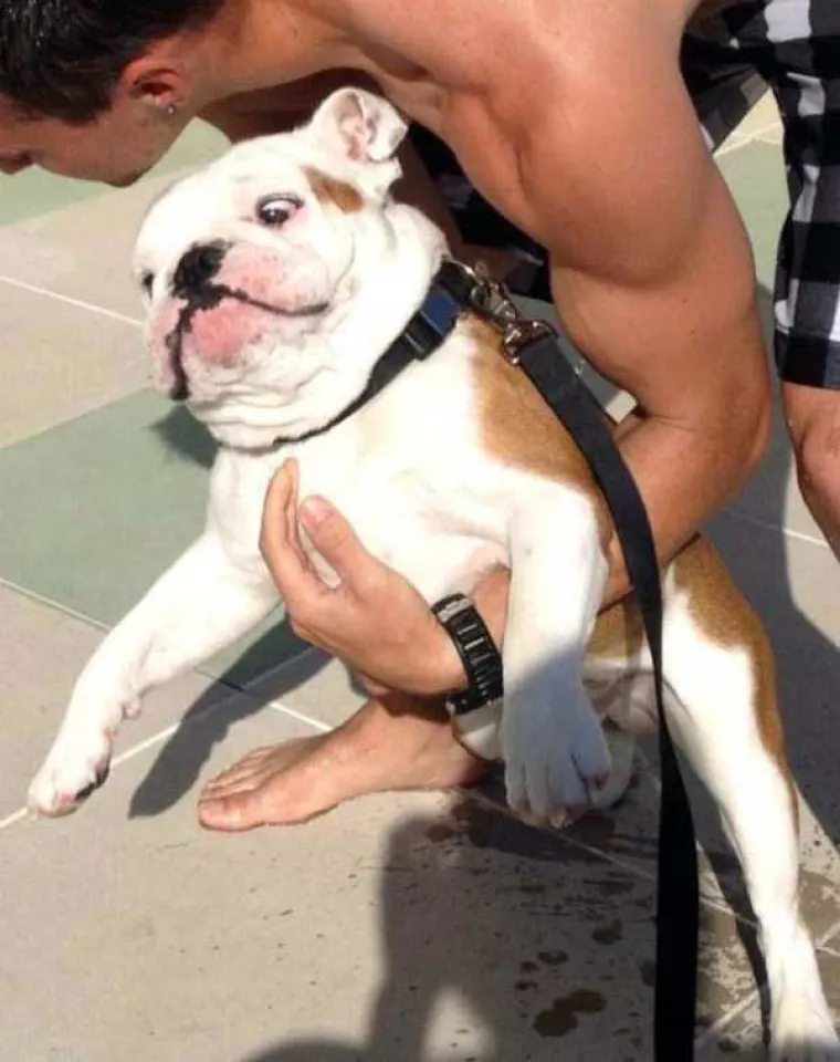 VRUĆE IM JE AL' SE NE DAJU: Oni su u noćnoj mori, ne žele biti u vodi