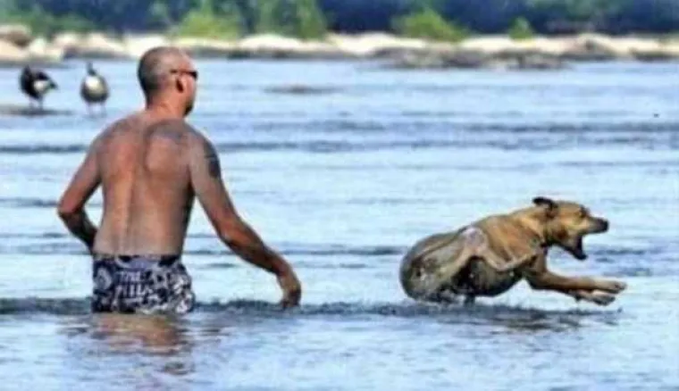 VRUĆE IM JE AL' SE NE DAJU: Oni su u noćnoj mori, ne žele biti u vodi