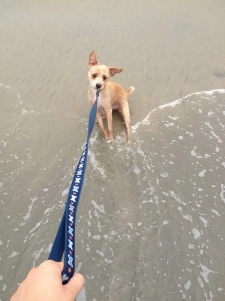 VRUĆE IM JE AL' SE NE DAJU: Oni su u noćnoj mori, ne žele biti u vodi