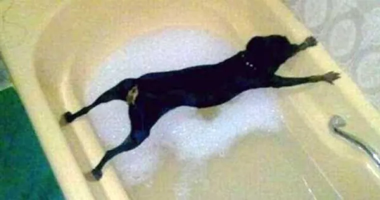 VRUĆE IM JE AL' SE NE DAJU: Oni su u noćnoj mori, ne žele biti u vodi