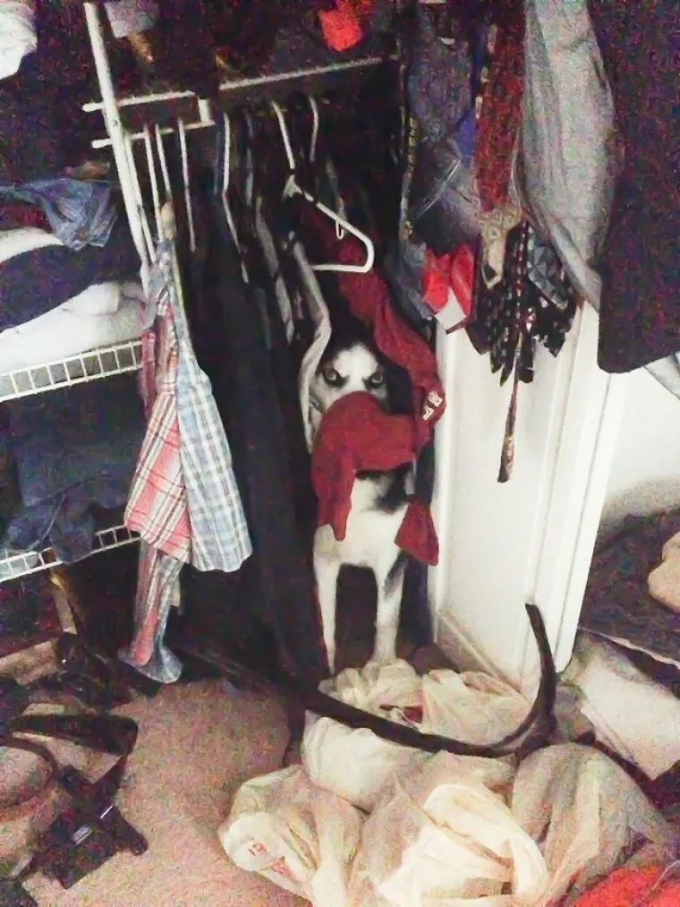 NEMAJU POJMA &Scaron;TO RADE: Misle ako im se ne vidi glava da su napravili odličnu stvar