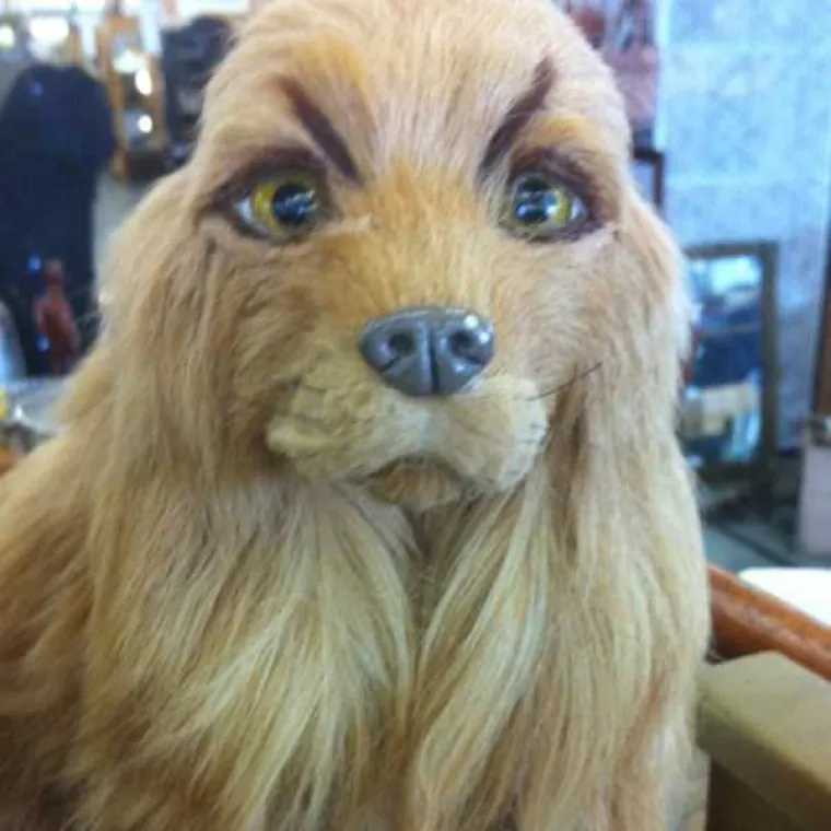 MORA SE BULJITI U NJIH: Čovjek ih ne može gledati, a da im se ne smije u facu