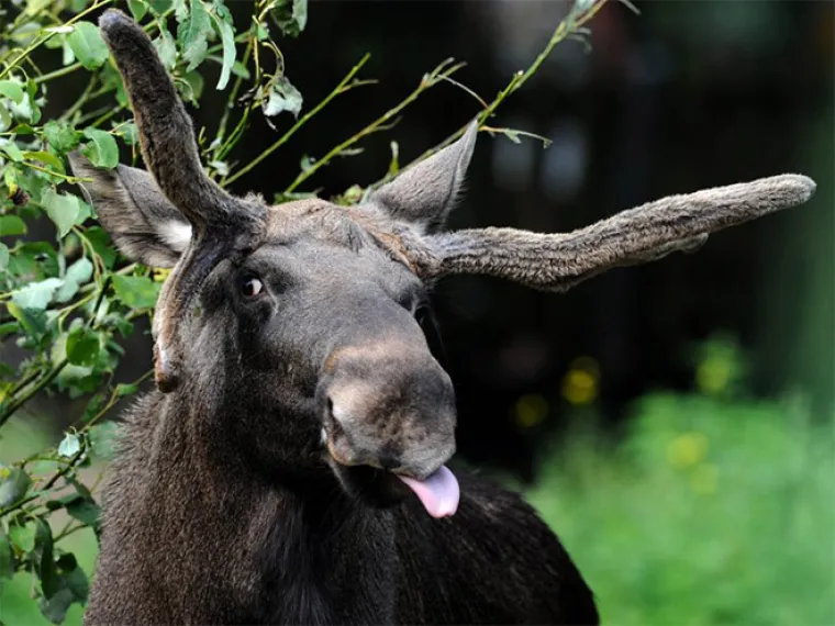 Priroda je prepuna veličanstvenih prizora. Od planina do pustinja, Zemlja nam neprestano oduzima dah svojom ljepotom. A tu su onda i ovi prizori...