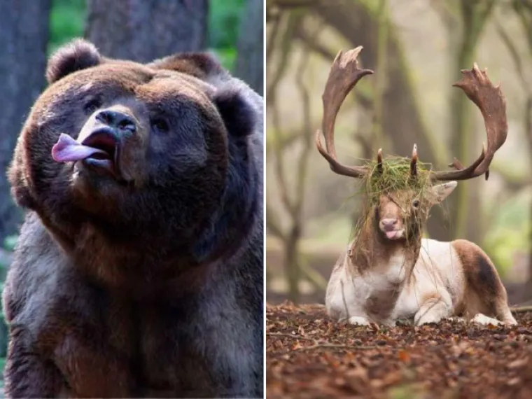 Priroda je prepuna veličanstvenih prizora. Od planina do pustinja, Zemlja nam neprestano oduzima dah svojom ljepotom. A tu su onda i ovi prizori...