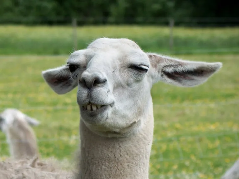 Priroda je prepuna veličanstvenih prizora. Od planina do pustinja, Zemlja nam neprestano oduzima dah svojom ljepotom. A tu su onda i ovi prizori...