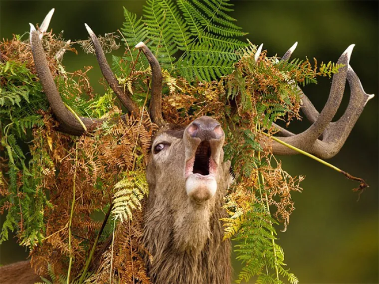 Priroda je prepuna veličanstvenih prizora. Od planina do pustinja, Zemlja nam neprestano oduzima dah svojom ljepotom. A tu su onda i ovi prizori...