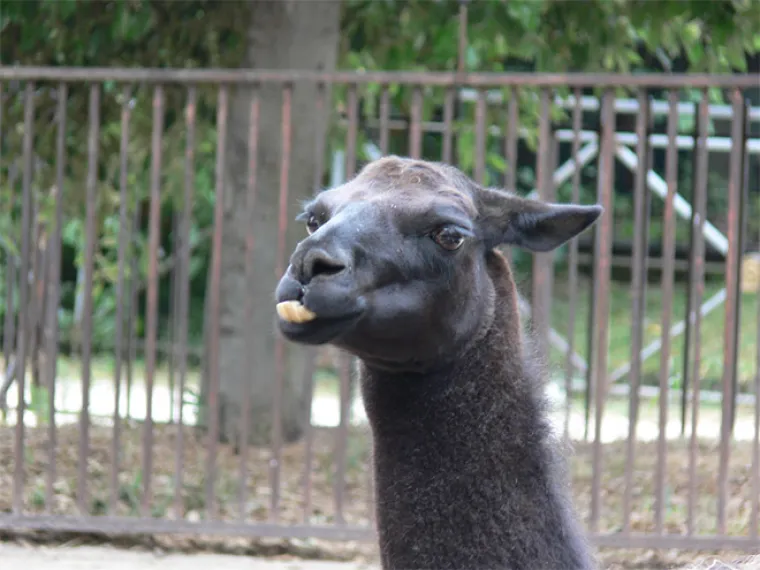 Priroda je prepuna veličanstvenih prizora. Od planina do pustinja, Zemlja nam neprestano oduzima dah svojom ljepotom. A tu su onda i ovi prizori...