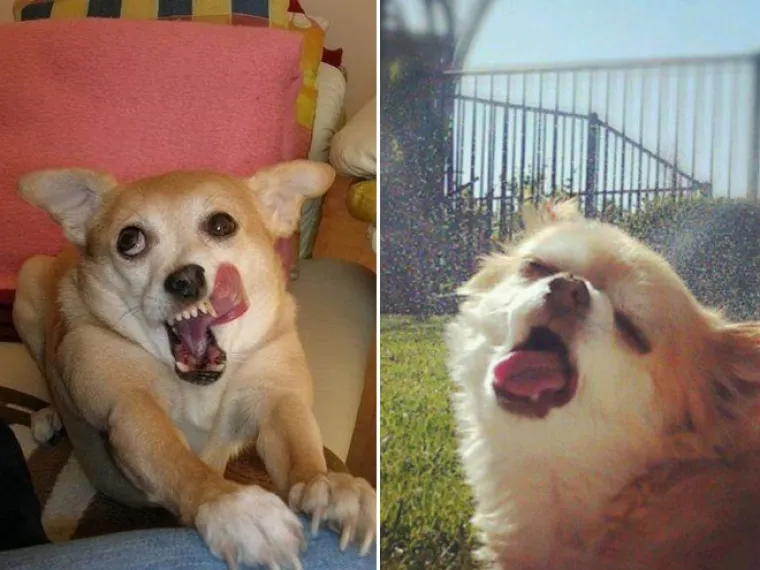 Priroda je prepuna veličanstvenih prizora. Od planina do pustinja, Zemlja nam neprestano oduzima dah svojom ljepotom. A tu su onda i ovi prizori...