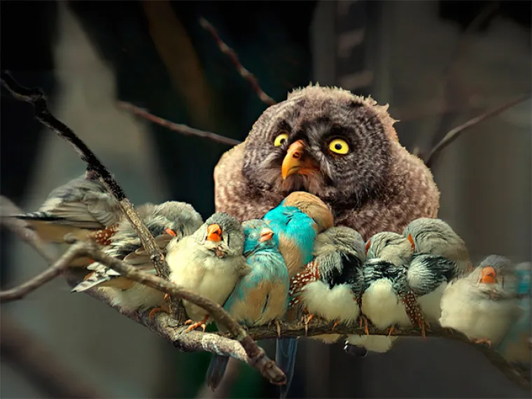 Priroda je prepuna veličanstvenih prizora. Od planina do pustinja, Zemlja nam neprestano oduzima dah svojom ljepotom. A tu su onda i ovi prizori...