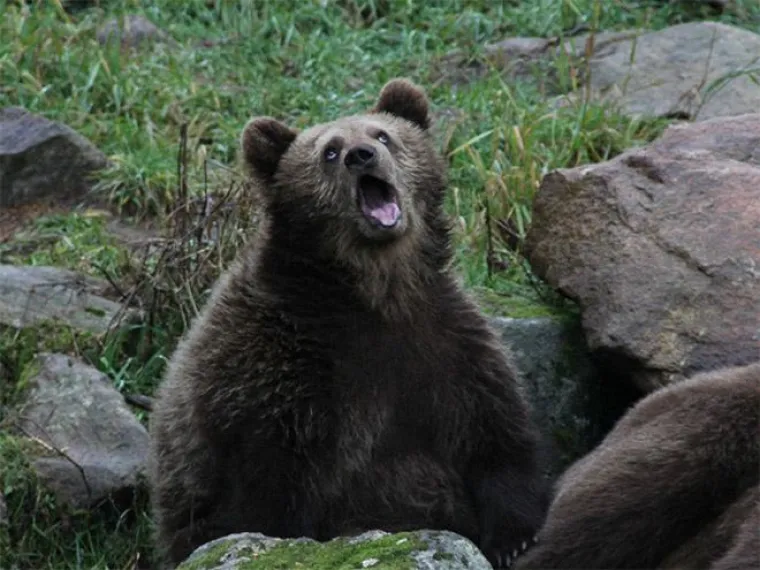 Priroda je prepuna veličanstvenih prizora. Od planina do pustinja, Zemlja nam neprestano oduzima dah svojom ljepotom. A tu su onda i ovi prizori...