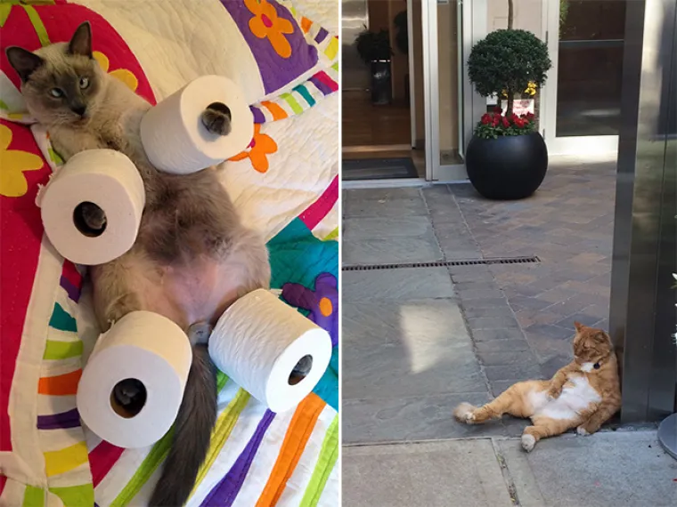 Priroda je prepuna veličanstvenih prizora. Od planina do pustinja, Zemlja nam neprestano oduzima dah svojom ljepotom. A tu su onda i ovi prizori...