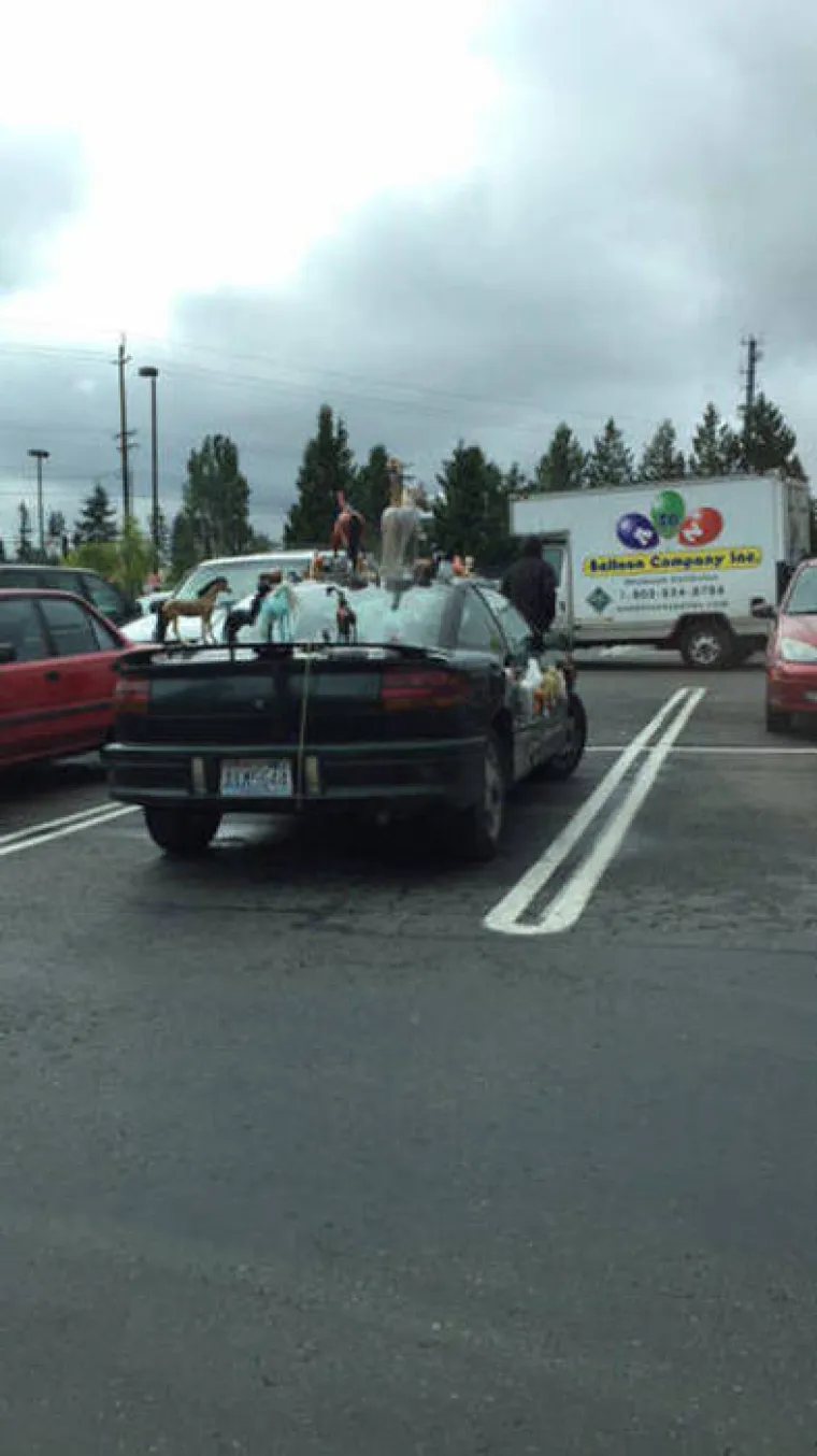 ZAVODNICI I MAČO TIPOVI NA CESTI: Želite li uloviti komade, (ne)vozite ovakve 'makine'!