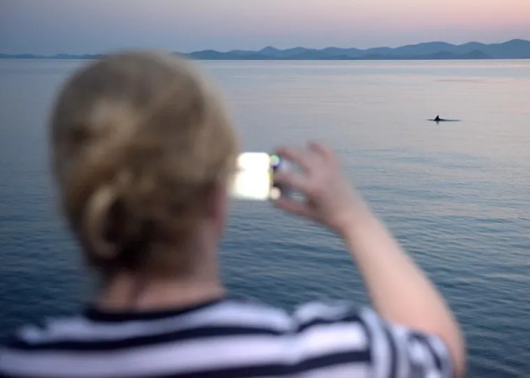 Kolinda Grabar Kitarović