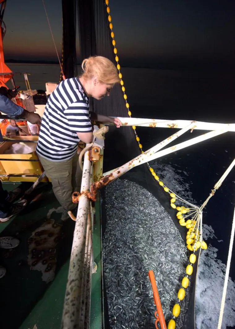 Kolinda Grabar Kitarović