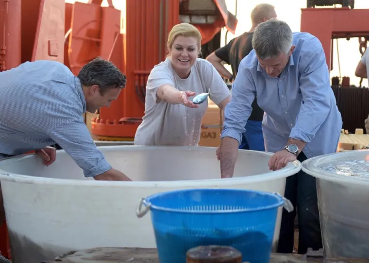 Kolinda Grabar Kitarović