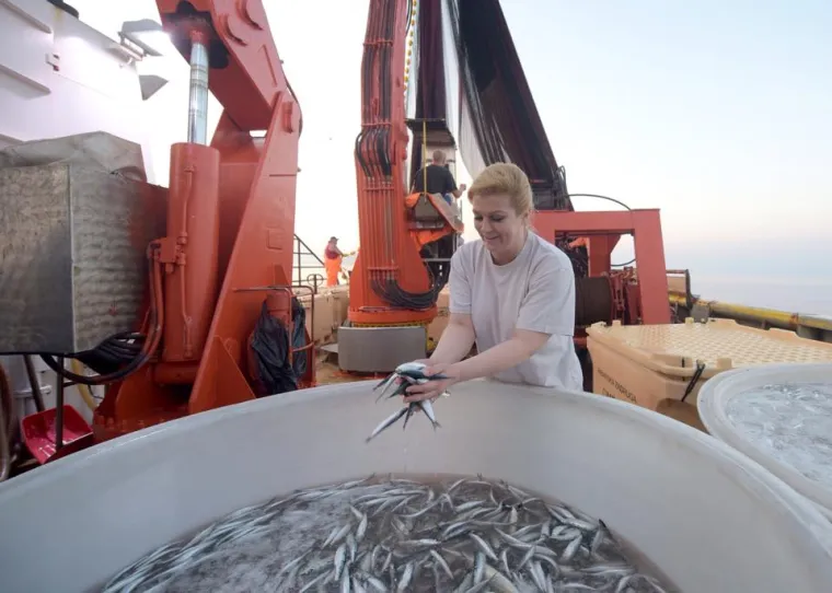 Kolinda Grabar Kitarović