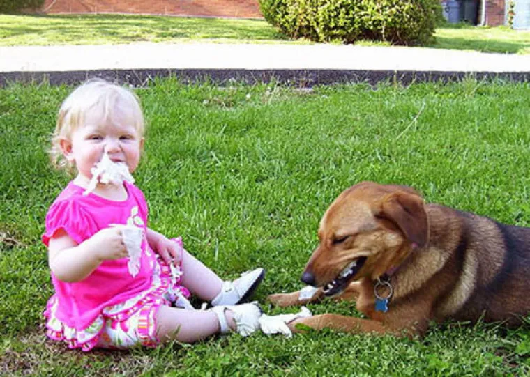 Roditeljstvo je veliki užitak, kažu neki, ali i jo&scaron; veća odgovornost. Zato prije nego &scaron;to se odlučite za roditeljstvo svakako pogledajte ove fotke.