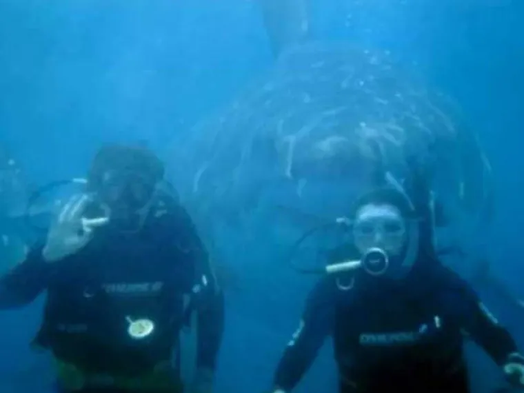 Vjerovali ili ne, na ovim fotkama nije uopće upotrebljen Photoshop. Možete li  protumačiti kako su nastale?