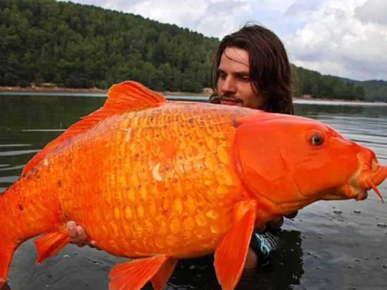 Vjerovali ili ne, na ovim fotkama nije uopće upotrebljen Photoshop. Možete li  protumačiti kako su nastale?