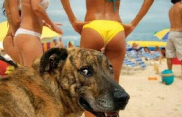 Samo su se htjeli malo slikati na plaži, s prijateljima ili jednostavno pokazati svoj novi bikini. No, stvari im nisu baš išle po planu...