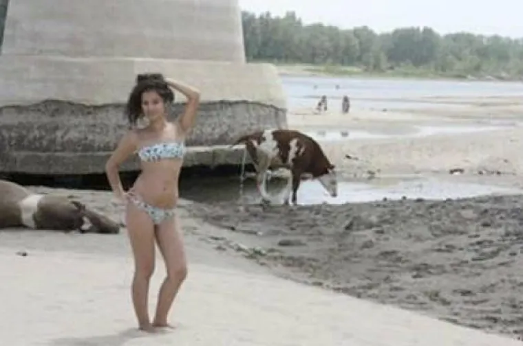 Samo su se htjeli malo slikati na plaži, s prijateljima ili jednostavno pokazati svoj novi bikini. No, stvari im nisu baš išle po planu...