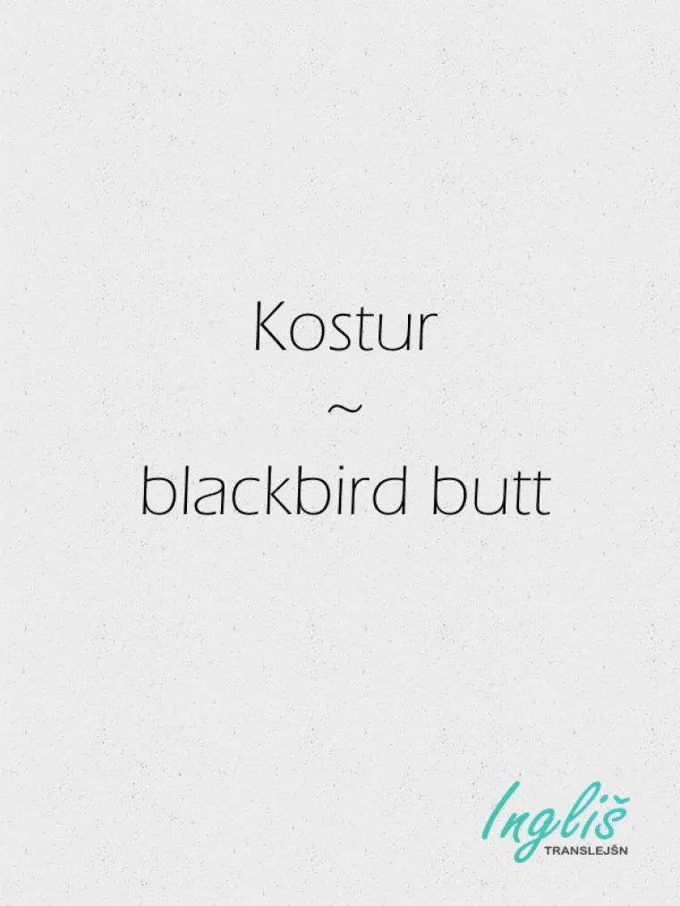 NE VJERUJTE INTERNET PRIJEVODU! Svinjarije koje servira mogle bi vas izblamirati 'do bola'