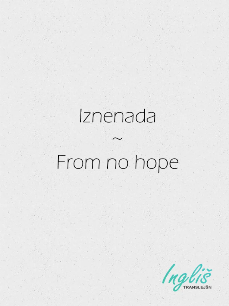 NE VJERUJTE INTERNET PRIJEVODU! Svinjarije koje servira mogle bi vas izblamirati 'do bola'