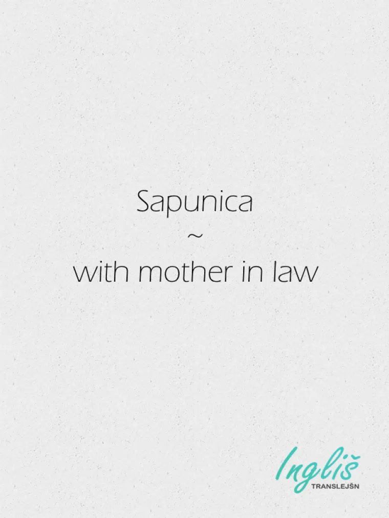 NE VJERUJTE INTERNET PRIJEVODU! Svinjarije koje servira mogle bi vas izblamirati 'do bola'