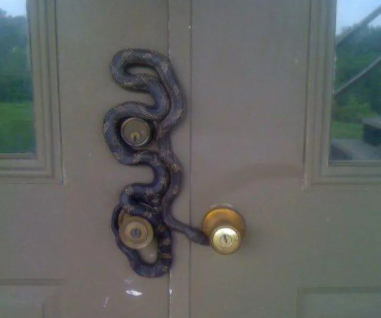 Ne, ne i ne! To su jedine riječi koje nam padaju na pamet kada vidimo ove prizore. Jesu li nesnosni i vama?