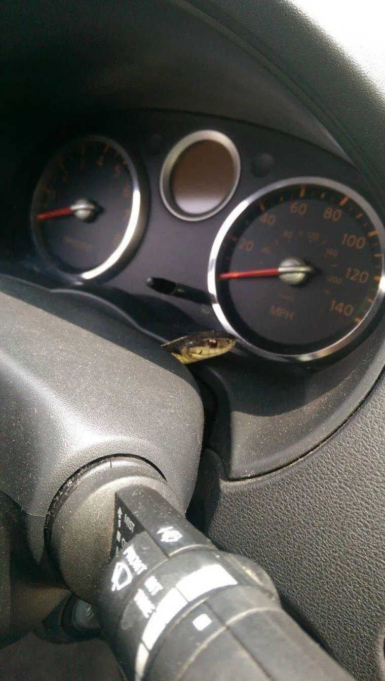 Ne, ne i ne! To su jedine riječi koje nam padaju na pamet kada vidimo ove prizore. Jesu li nesnosni i vama?