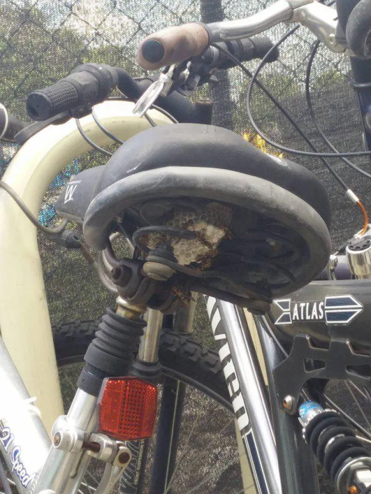 Ne, ne i ne! To su jedine riječi koje nam padaju na pamet kada vidimo ove prizore. Jesu li nesnosni i vama?