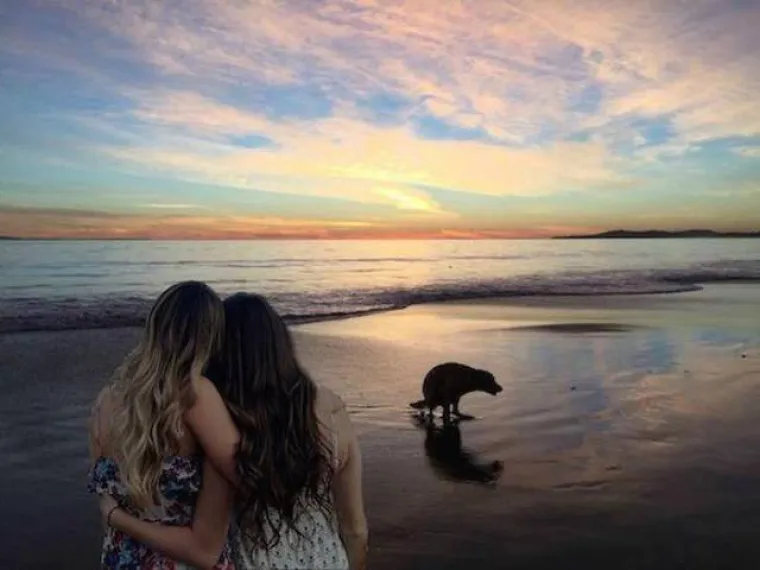 Cure naivno zatražile pomoć interneta, a trolovi se zabavili na njihov račun