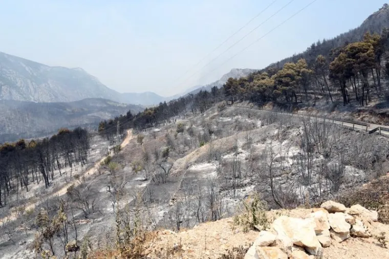 Opožareno je oko 400 hektara.