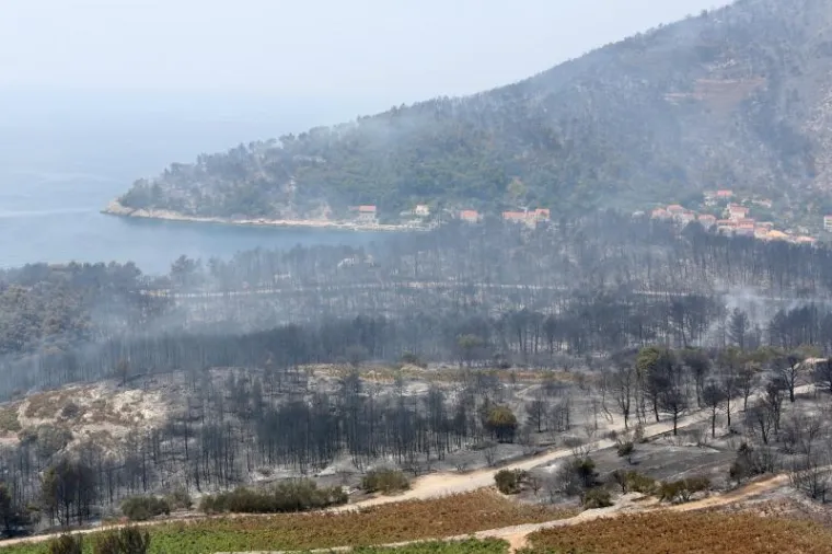 SPALJENA ZEMLJA: Stravični prizori s opusto&scaron;enog Pelje&scaron;ca