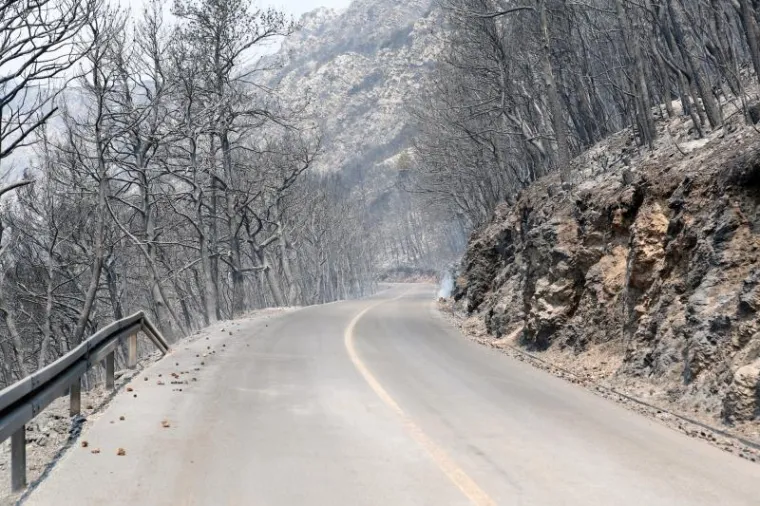 SPALJENA ZEMLJA: Stravični prizori s opusto&scaron;enog Pelje&scaron;ca
