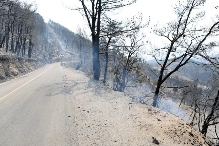 SPALJENA ZEMLJA: Stravični prizori s opusto&scaron;enog Pelje&scaron;ca
