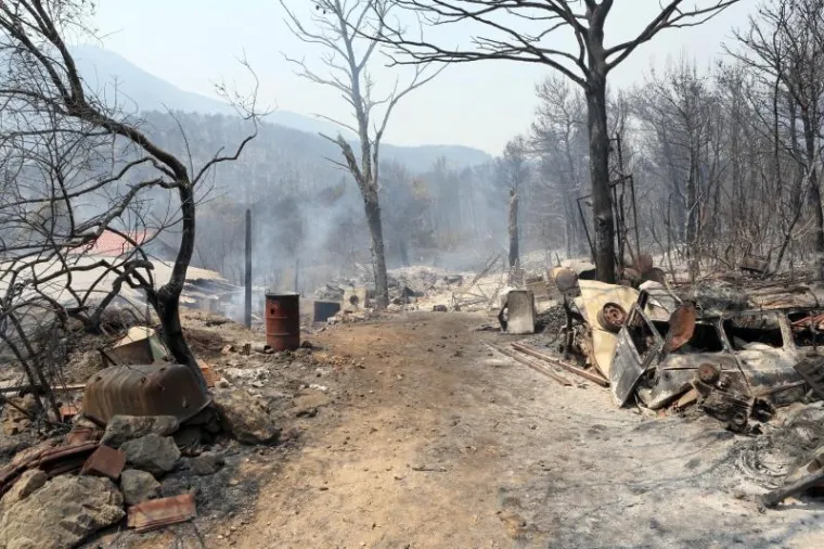 SPALJENA ZEMLJA: Stravični prizori s opusto&scaron;enog Pelje&scaron;ca