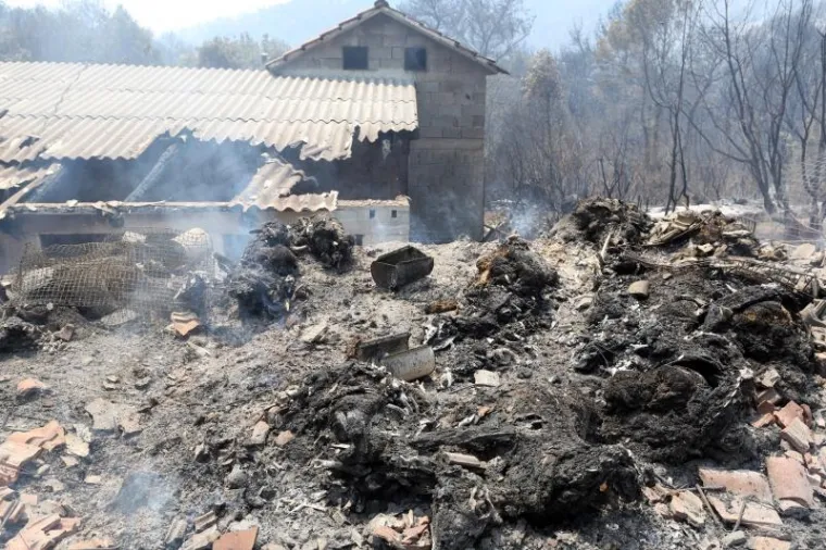 SPALJENA ZEMLJA: Stravični prizori s opusto&scaron;enog Pelje&scaron;ca