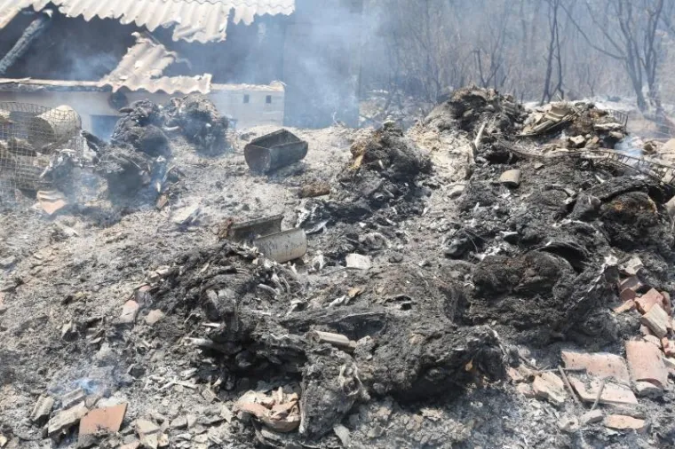 SPALJENA ZEMLJA: Stravični prizori s opusto&scaron;enog Pelje&scaron;ca