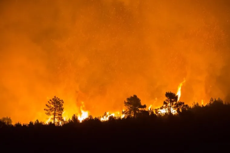 Požar na Pelješcu još je uvijek aktivan, no kiša koja je noćas nenadano pala pomogla je vatrogascima da ga stave pod kontrolu. Iscrpljeni vatrogasci borili su se doslovce za svaku kuću.  Prizori u galeriji zabilježeni su kod zaseoka Dančanje, na cesti prema Brijesti.