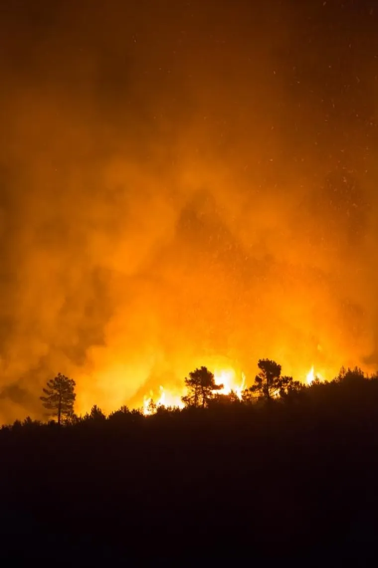 Požar na Pelje&scaron;cu jo&scaron; je uvijek aktivan, no ki&scaron;a koja je noćas nenadano pala pomogla je vatrogascima da ga stave pod kontrolu. Iscrpljeni vatrogasci borili su se doslovce za svaku kuću.  Prizori u galeriji zabilježeni su kod zaseoka Dančanje, na cesti prema Brijesti.