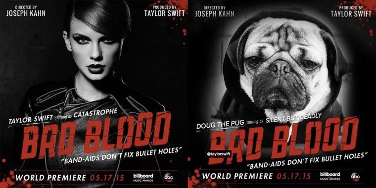 Elitni život Taylor Swift ne mogu si priuštiti baš svi, ali jedan koji može je preslatki pas Doug kojeg je ekipa sa stranice Mashable pogostila kraljevskim tretmanom.