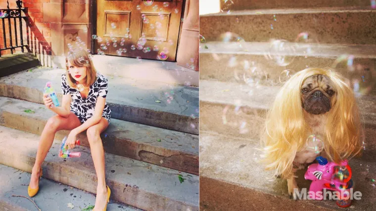 PASJI ŽIVOT: Evo kako je biti u koži Taylor Swift