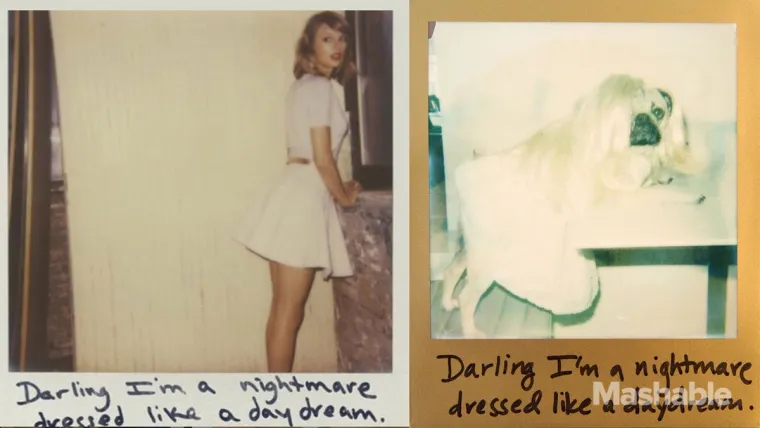 PASJI ŽIVOT: Evo kako je biti u koži Taylor Swift