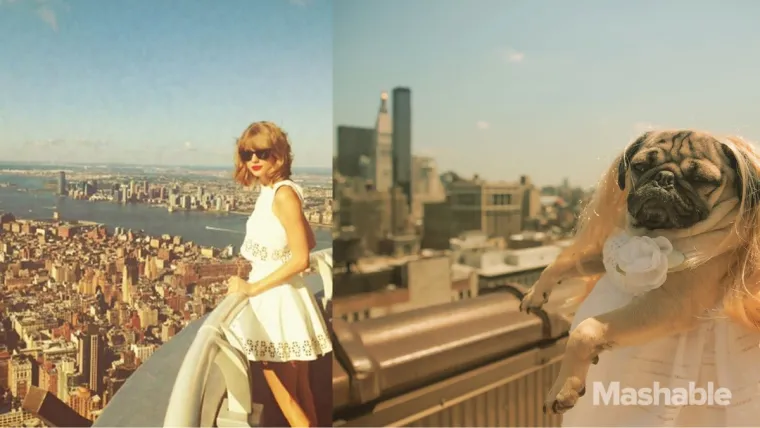 PASJI ŽIVOT: Evo kako je biti u koži Taylor Swift