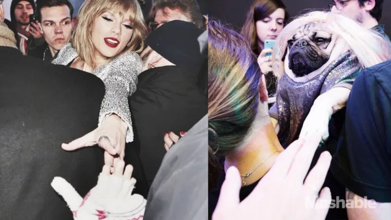 PASJI ŽIVOT: Evo kako je biti u koži Taylor Swift